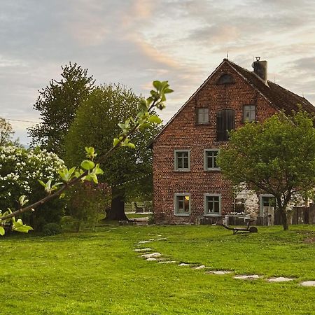 Bed and Breakfast Dom Na Krzewiu Gryfów Śląski Zewnętrze zdjęcie