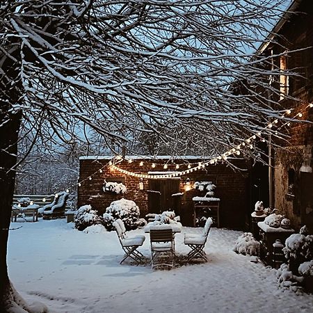 Bed and Breakfast Dom Na Krzewiu Gryfów Śląski Zewnętrze zdjęcie