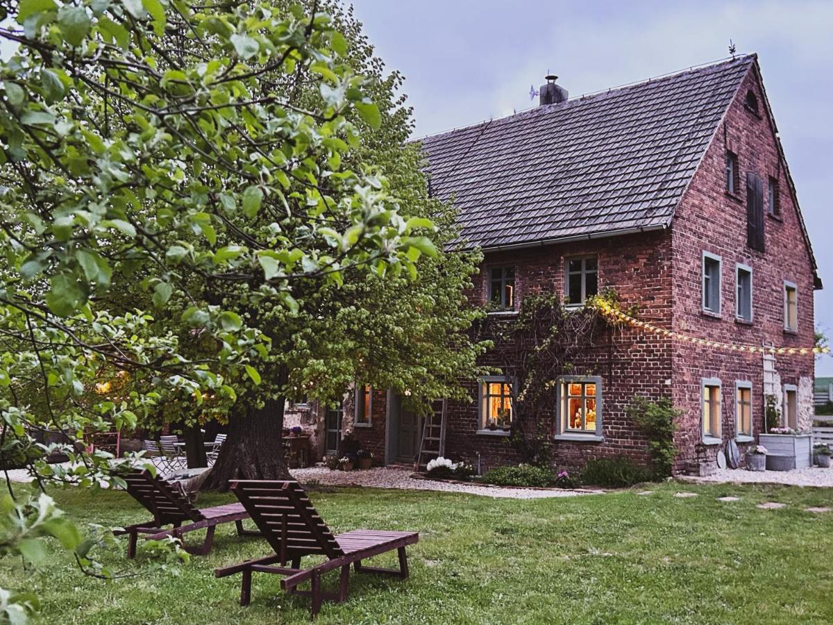 Bed and Breakfast Dom Na Krzewiu Gryfów Śląski Zewnętrze zdjęcie