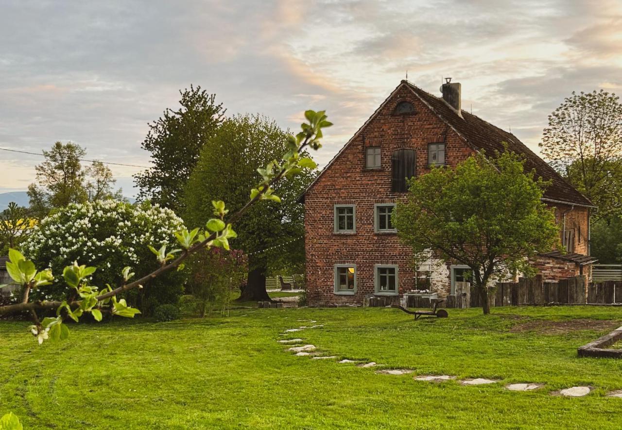Bed and Breakfast Dom Na Krzewiu Gryfów Śląski Zewnętrze zdjęcie