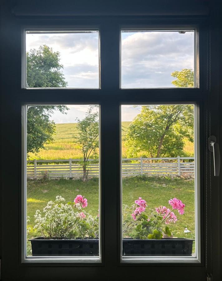 Bed and Breakfast Dom Na Krzewiu Gryfów Śląski Zewnętrze zdjęcie