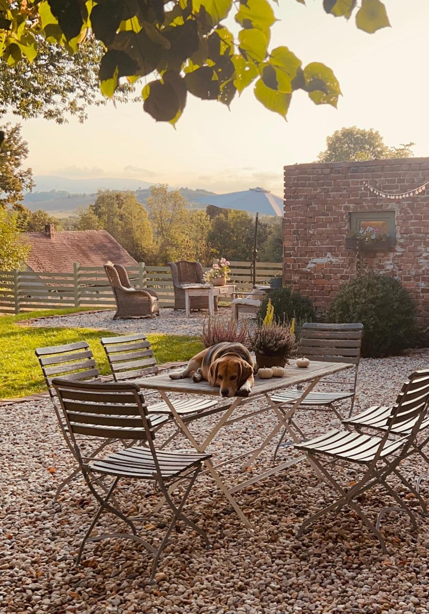 Bed and Breakfast Dom Na Krzewiu Gryfów Śląski Zewnętrze zdjęcie